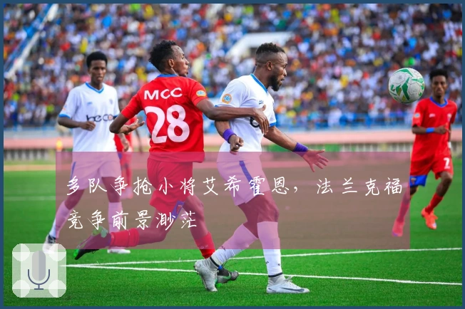 多队争抢小将艾希霍恩，法兰克福竞争前景渺茫